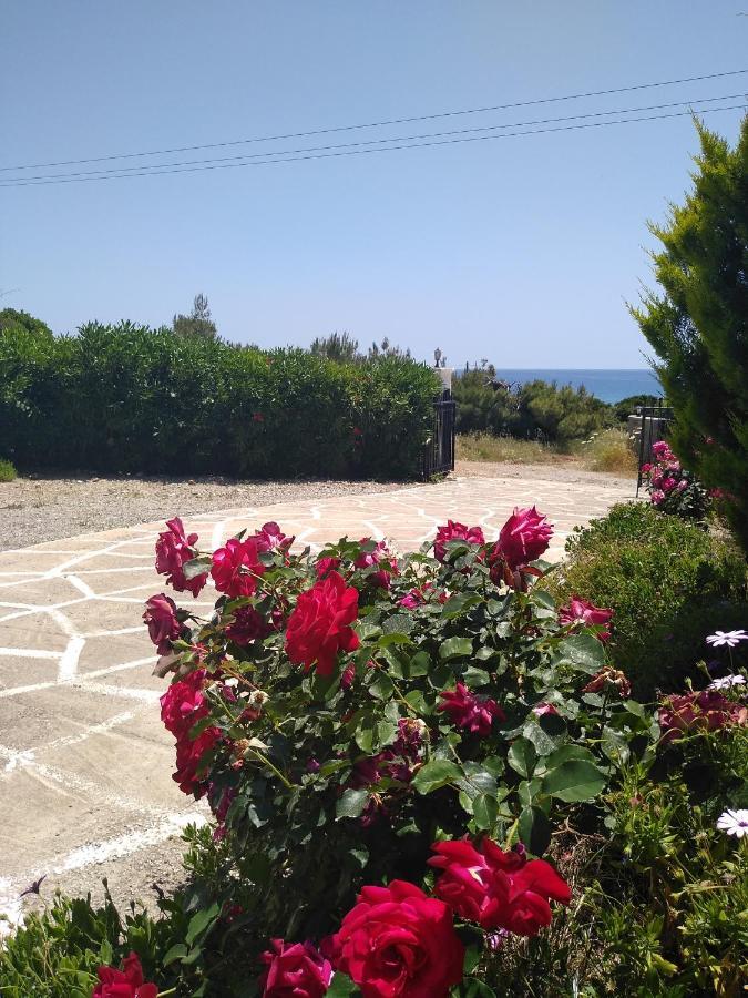 Nastazia Villa Kiotari